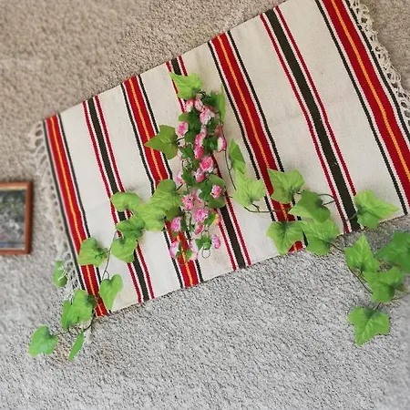 дом бакалски-кмета Gasthuis Narechenski Bani