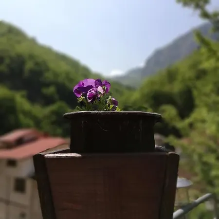 дом бакалски-кмета * Narechenski Bani
