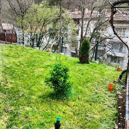 дом бакалски-кмета