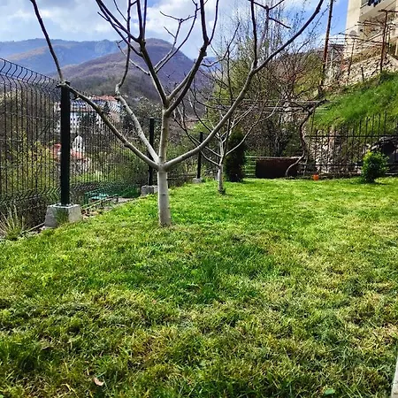 дом бакалски-кмета 3* Narechenski Bani